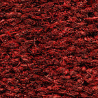 Rot