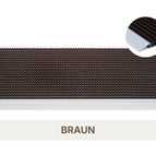 Braun (006)