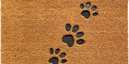 Filora Paws