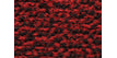 Rot