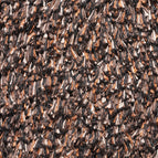 006 brown