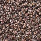 006 brown
