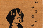 Tirano - Hund